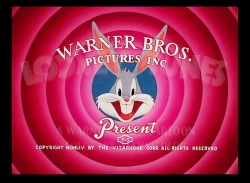 باگز بانی (خرگوش در صحرا)